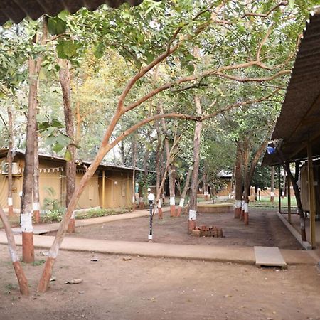 Nature Trails Sajan, Vikramgad Kudān Kültér fotó