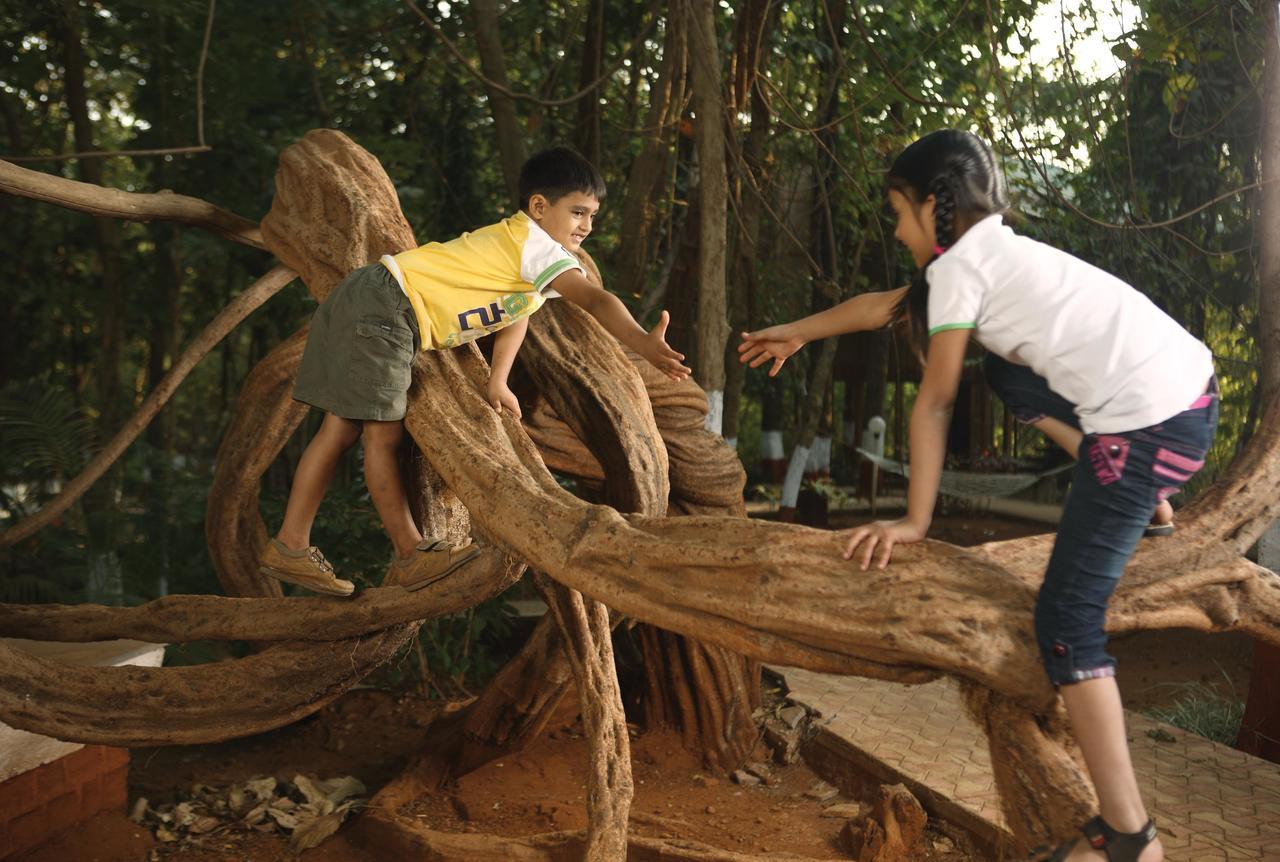Nature Trails Sajan, Vikramgad Kudān Kültér fotó