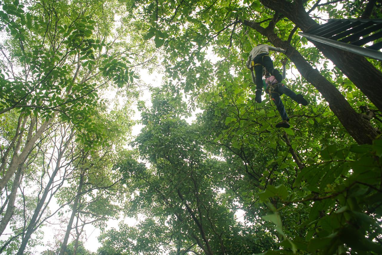 Nature Trails Sajan, Vikramgad Kudān Kültér fotó